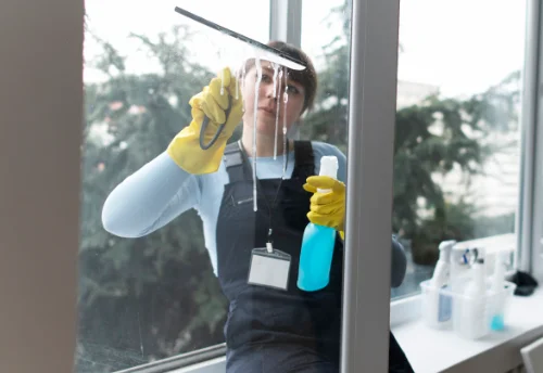Nettoyage de vitres intérieures et extérieures à Montoussé